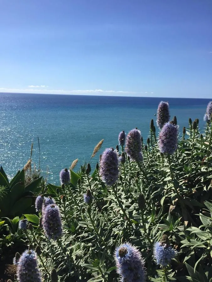 Calheta Ocean View Apartments 1 - Air Condition Estreito Da Calheta