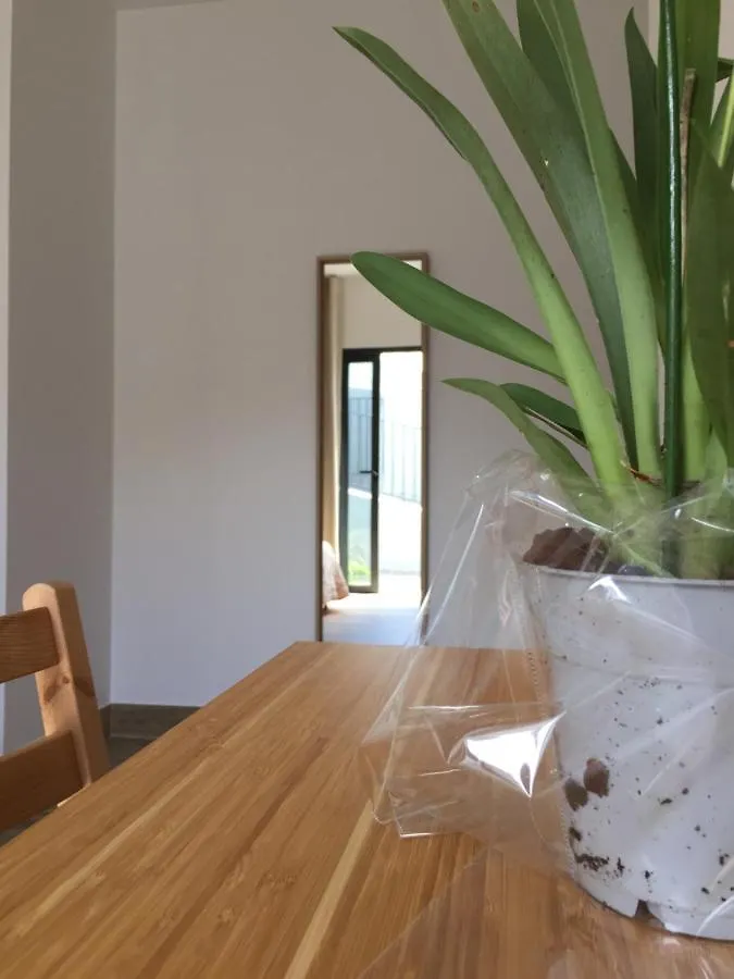 Calheta Ocean View Apartments 1 - Air Condition Estreito Da Calheta